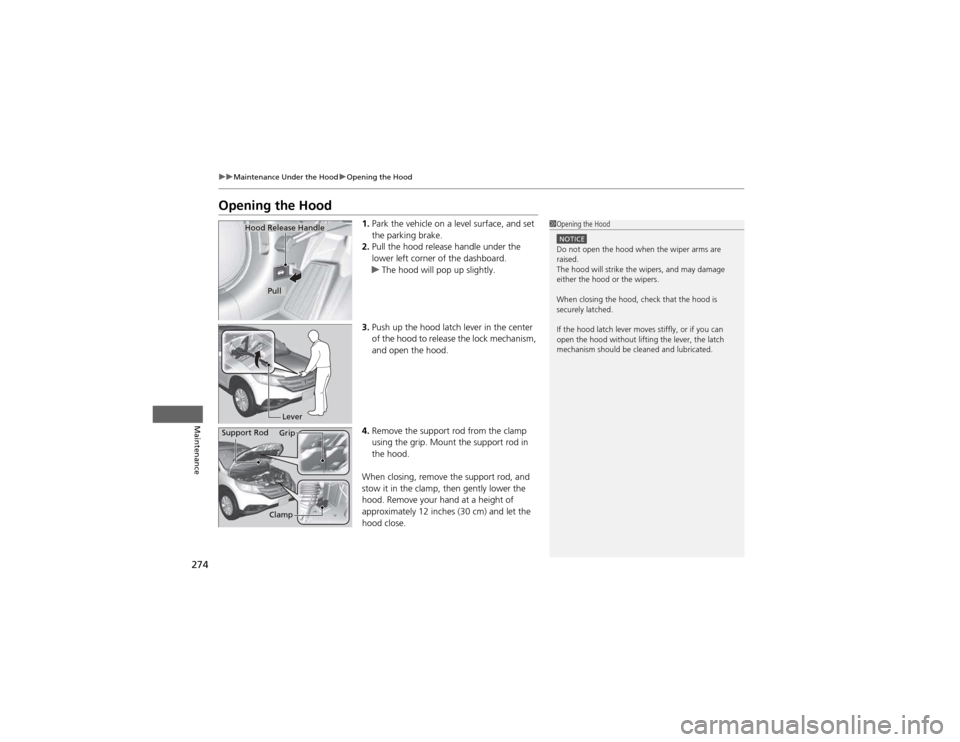 HONDA CR-V 2012 RM1, RM3, RM4 / 4.G Owners Manual 274
uuMaintenance Under the HooduOpening the Hood
Maintenance
Opening the Hood1.Park the vehicle on a level surface, and set
the parking brake.
2. Pull the hood release handle under the
lower left HONDA CR-V 2012 RM1, RM3, RM4 / 4.G Owners Manual 274
uuMaintenance Under the HooduOpening the Hood
Maintenance
Opening the Hood1.Park the vehicle on a level surface, and set
the parking brake.
2. Pull the hood release handle under the
lower left