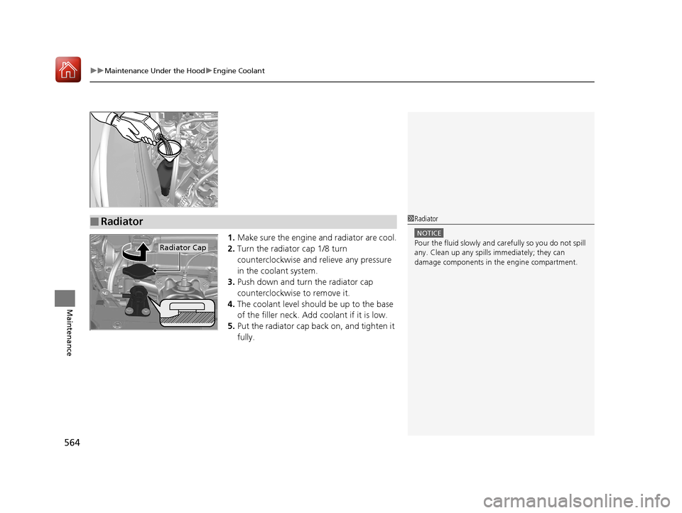 HONDA CR-V 2017 RM1, RM3, RM4 / 4.G Owners Manual uuMaintenance Under the Hood uEngine Coolant
564
Maintenance
1. Make sure the engine and radiator are cool.
2. Turn the radiator cap 1/8 turn 
counterclockwise and relieve any pressure 
in the coolant