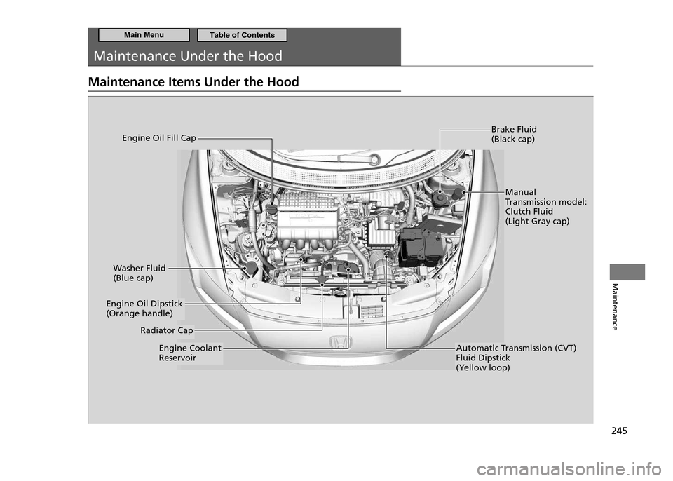 HONDA CR-Z 2011 1.G Owners Manual 245
Maintenance
Maintenance Under the Hood
Maintenance Items Under the Hood
Brake Fluid (Black cap)
Washer Fluid (Blue cap)
Engine Coolant Reservoir
Engine Oil Fill Cap
Manual
Transmission model:Cl HONDA CR-Z 2011 1.G Owners Manual 245
Maintenance
Maintenance Under the Hood
Maintenance Items Under the Hood
Brake Fluid (Black cap)
Washer Fluid (Blue cap)
Engine Coolant Reservoir
Engine Oil Fill Cap
Manual
Transmission model:Cl