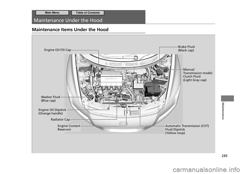 HONDA CR-Z 2011 1.G Owners Manual 245
Maintenance
Maintenance Under the Hood
Maintenance Items Under the Hood
Brake Fluid (Black cap)
Washer Fluid (Blue cap)
Engine Coolant  Reservoir
Engine Oil Fill Cap
Manual  
Transmission model:Cl