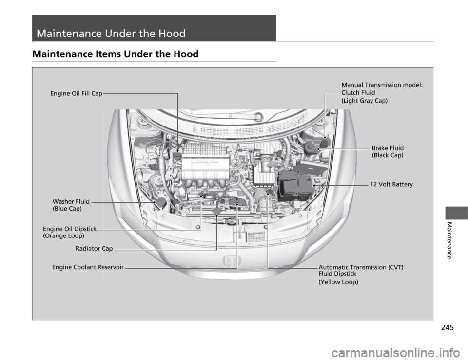 HONDA CR-Z 2012 1.G Owners Manual 245
Maintenance
Maintenance Under the Hood
Maintenance Items Under the Hood
Brake Fluid  
(Black Cap)
Manual Transmission model: 
Clutch Fluid (Light Gray Cap)
Washer Fluid  
(Blue Cap)
Engine Oil Dip