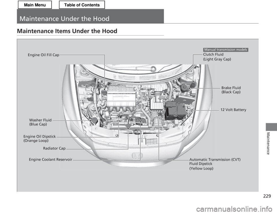 HONDA CR-Z 2013 1.G Owners Manual 229
Maintenance
Maintenance Under the Hood
Maintenance Items Under the Hood
Brake Fluid  
(Black Cap)
Clutch Fluid (Light Gray Cap)
Manual transmission models
Washer Fluid  
(Blue Cap)
Engine Oil Dips