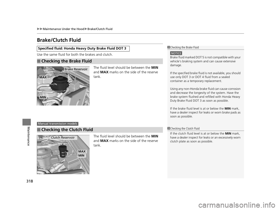 HONDA CR-Z 2016 1.G Owners Manual 318
uuMaintenance Under the Hood uBrake/Clutch Fluid
Maintenance
Brake/Clutch Fluid
Use the same fluid for bo th the brakes and clutch.
The fluid level should be between the  MIN 
and  MAX  marks on t