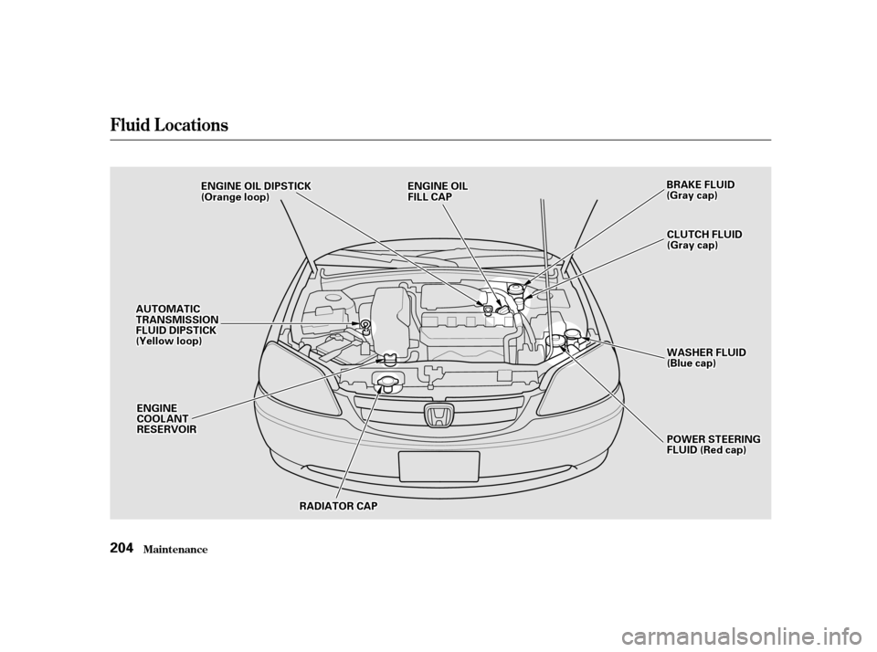 HONDA CIVIC 2001 7.G Owners Manual Fluid Locations
Maint enance
204
AAUUTTOOMMAATTIICCTTRRAANNSSMMIISSSSIIOONNFFLLUUIIDDDDIIPPSSTTIICCKK((YYeelllloowwlloooopp))
BBRRAAKKEEFFLLUUIIDD((GGrraayyccaapp))EENNGGIINNEEOOIILLFFIILLLLCCAAPP
WWA
