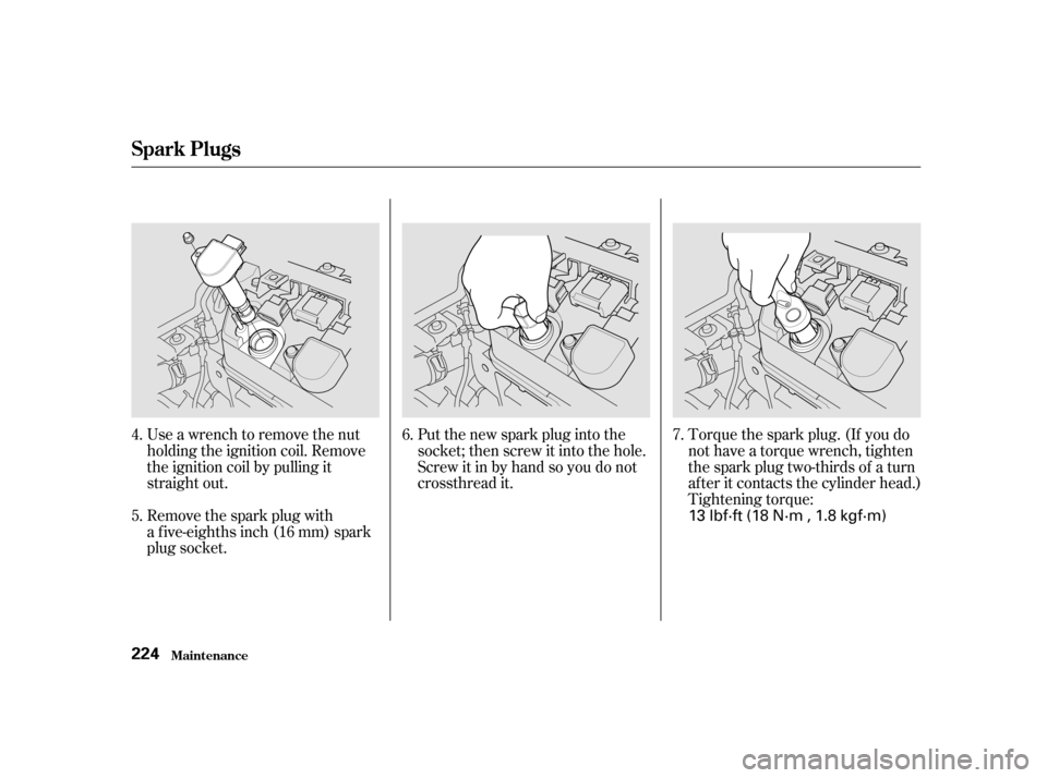 HONDA CIVIC 2001 7.G Owners Manual Put the new spark plug into the 
socket; then screw it into the hole.
Screw it in by hand so you do not
crossthread it.Torque the spark plug. (If you do
not have a torque wrench, tighten
the spark plu
