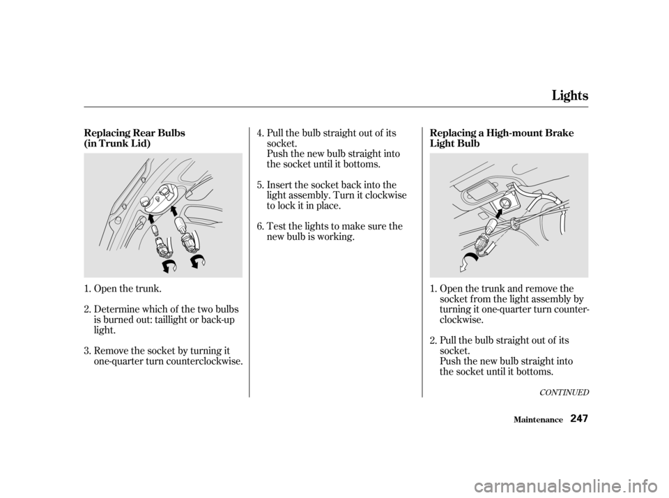 HONDA CIVIC 2001 7.G Owners Manual Open the trunk and remove the
socket f rom the light assembly by
turning it one-quarter turn counter-
clockwise.
Pull the bulb straight out of its
socket.
Push the new bulb straight into
the socket HONDA CIVIC 2001 7.G Owners Manual Open the trunk and remove the
socket f rom the light assembly by
turning it one-quarter turn counter-
clockwise.
Pull the bulb straight out of its
socket.
Push the new bulb straight into
the socket