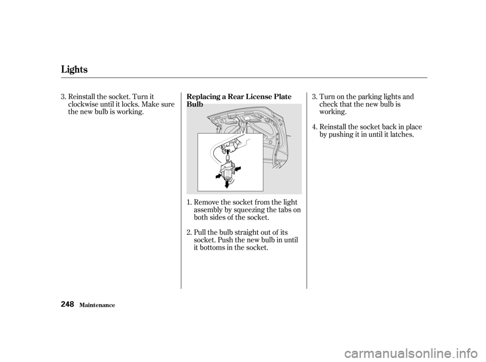 HONDA CIVIC 2001 7.G Owners Manual Turn on the parking lights and
check that the new bulb is
working.
Reinstall the socket. Turn it
clockwise until it locks. Make sure
the new bulb is working.
Remove the socket f rom the light
assembl HONDA CIVIC 2001 7.G Owners Manual Turn on the parking lights and
check that the new bulb is
working.
Reinstall the socket. Turn it
clockwise until it locks. Make sure
the new bulb is working.
Remove the socket f rom the light
assembl