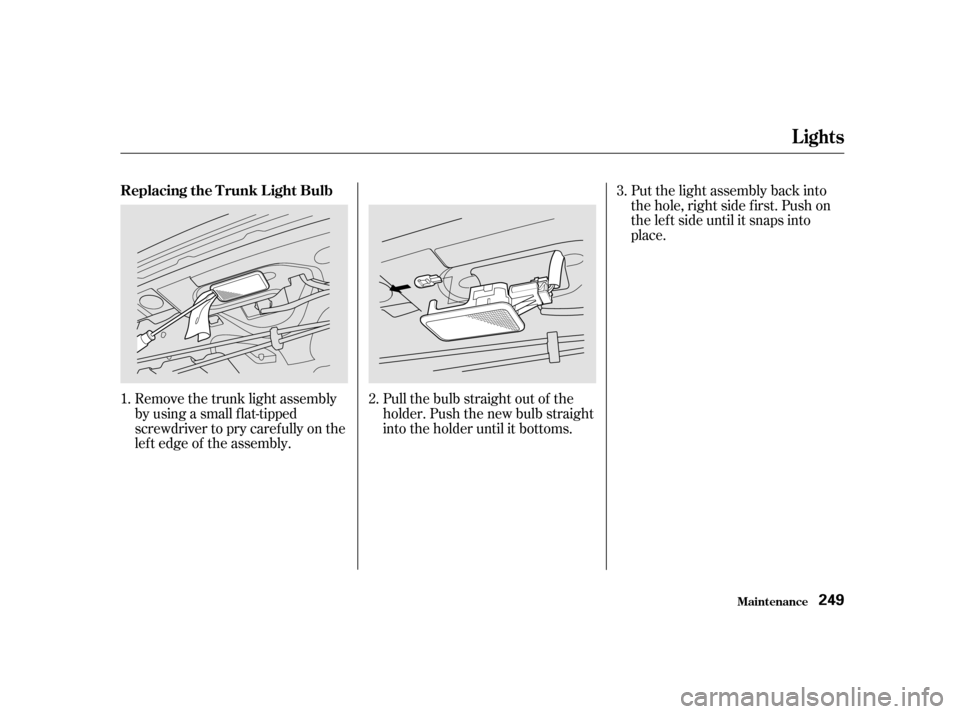 HONDA CIVIC 2001 7.G Owners Manual Pull the bulb straight out of the
holder. Push the new bulb straight
into the holder until it bottoms.
Remove the trunk light assembly
by using a small f lat-tipped
screwdriver to pry caref ully on t HONDA CIVIC 2001 7.G Owners Manual Pull the bulb straight out of the
holder. Push the new bulb straight
into the holder until it bottoms.
Remove the trunk light assembly
by using a small f lat-tipped
screwdriver to pry caref ully on t