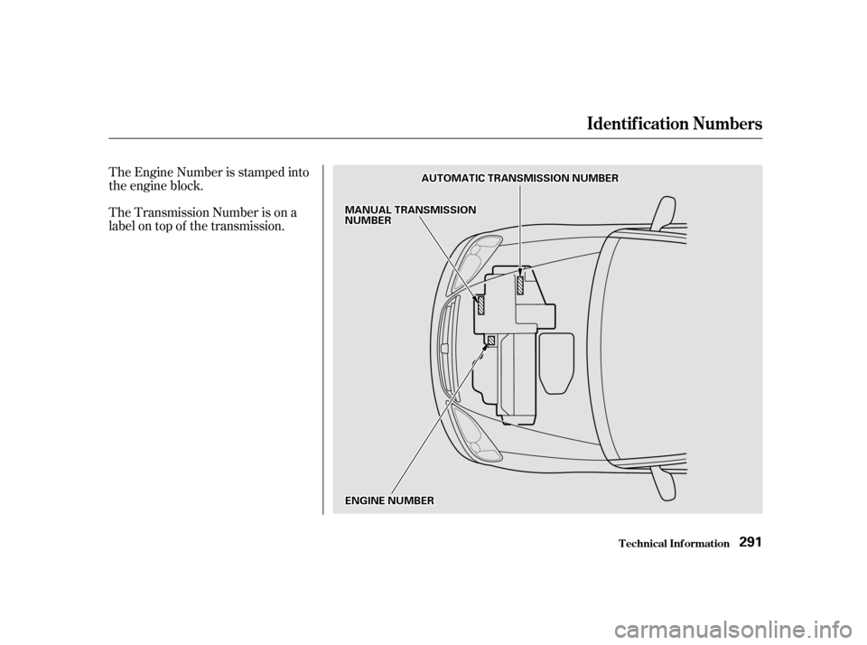 HONDA CIVIC 2001 7.G Owners Manual The Engine Number is stamped into 
the engine block. 
The Transmission Number is on a 
label on top of the transmission.
Identif ication Numbers
T echnical Inf ormation291
EENNGGIINNEENNUUMMBBEERR
MMA