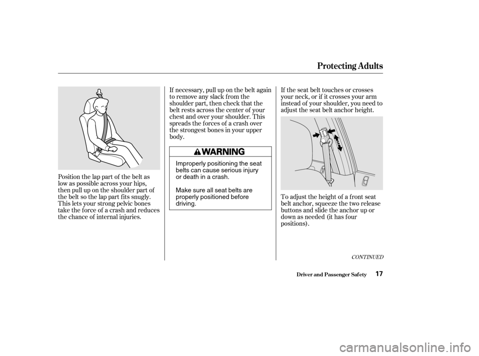 HONDA CIVIC 2002 7.G User Guide Position the lap part of the belt as
low as possible across your hips,
then pull up on the shoulder part of
the belt so the lap part f its snugly.
This lets your strong pelvic bones
take the force of HONDA CIVIC 2002 7.G User Guide Position the lap part of the belt as
low as possible across your hips,
then pull up on the shoulder part of
the belt so the lap part f its snugly.
This lets your strong pelvic bones
take the force of