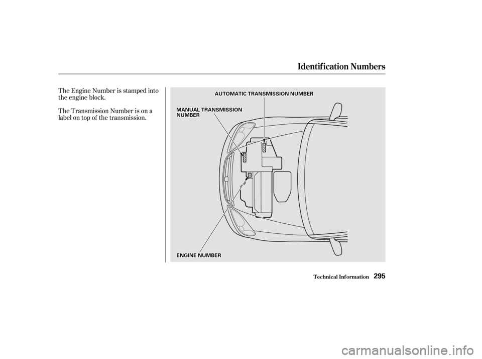 HONDA CIVIC 2002 7.G Owners Manual The Engine Number is stamped into 
the engine block. 
The Transmission Number is on a 
label on top of the transmission.
Identif ication Numbers
T echnical Inf ormation295
EENNGGIINNEENNUUMMBBEERR
MMA