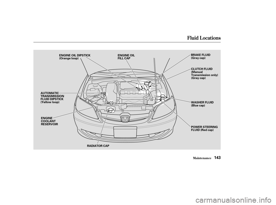 HONDA CIVIC 2004 7.G Owners Manual Fluid Locations
Maint enance143
RADIATOR CAP
ENGINE 
COOLANT
RESERVOIR ENGINE OIL DIPSTICK
(Orange loop)
BRAKE FLUID
(Gray cap)
ENGINE OIL
FILL CAP
CLUTCH FLUID
(Manual
Transmission only)
(Gray cap)
W