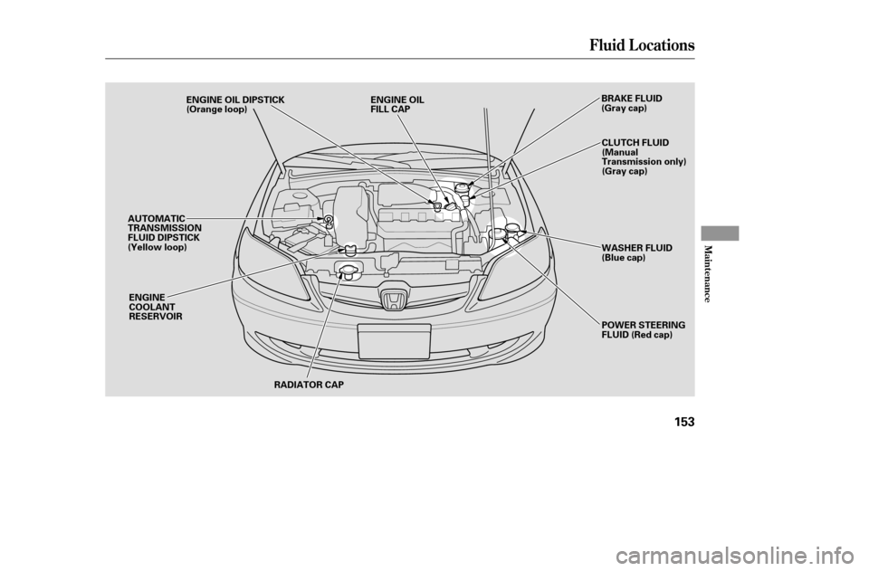 HONDA CIVIC 2005 7.G Owners Manual Fluid Locations
Maint enance
153
RADIATOR CAP
ENGINE 
COOLANT
RESERVOIR ENGINE OIL DIPSTICK
(Orange loop)
BRAKE FLUID
(Gray cap)
ENGINE OIL
FILL CAP
CLUTCH FLUID
(Manual
Transmission only)
(Gray cap)
