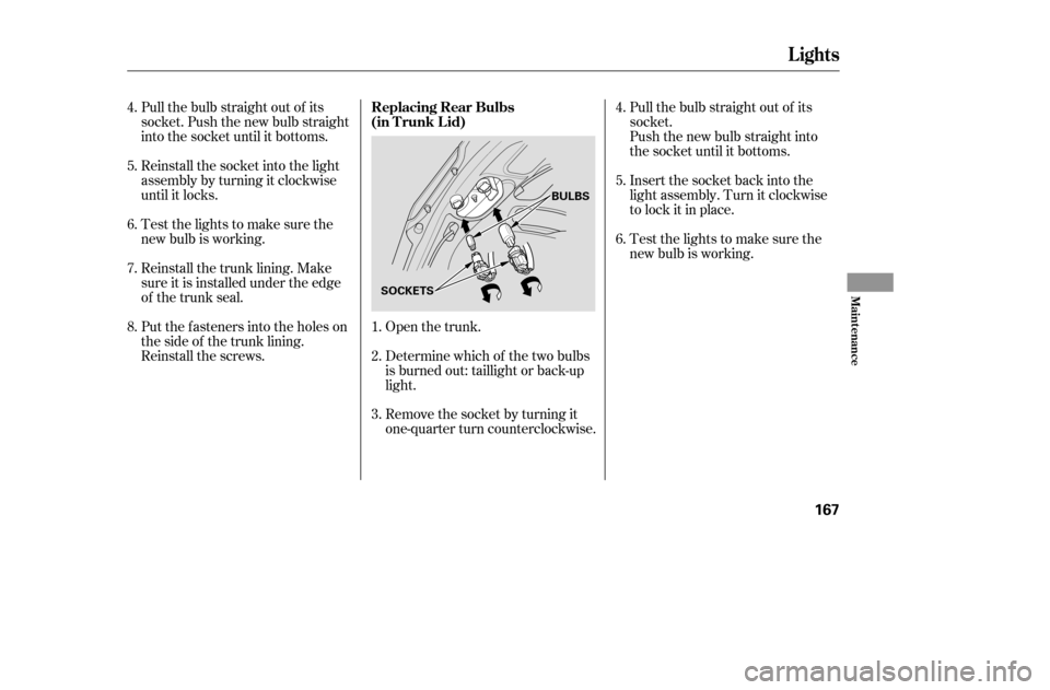 HONDA CIVIC 2005 7.G Owners Manual Pull the bulb straight out of its 
socket. Push the new bulb straight
into the socket until it bottoms.Open the trunk. 
Determine which of the two bulbs 
is burned out: taillight or back-up
light. 
Re