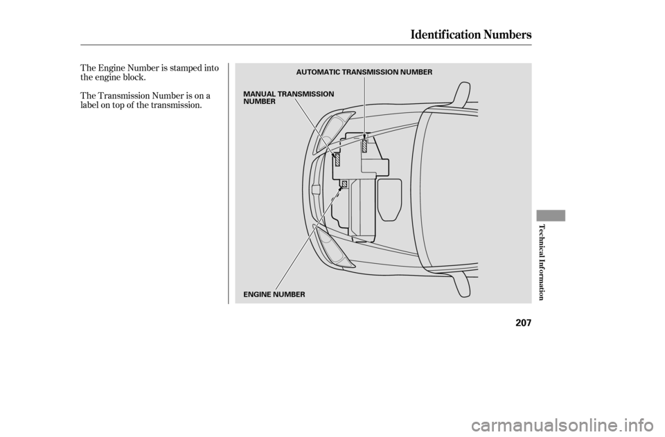 HONDA CIVIC 2005 7.G Owners Manual The Engine Number is stamped into 
the engine block. 
The Transmission Number is on a 
label on top of the transmission.
Identif ication Numbers
T echnical Inf ormation
207
AUTOMATIC TRANSMISSION NUMB