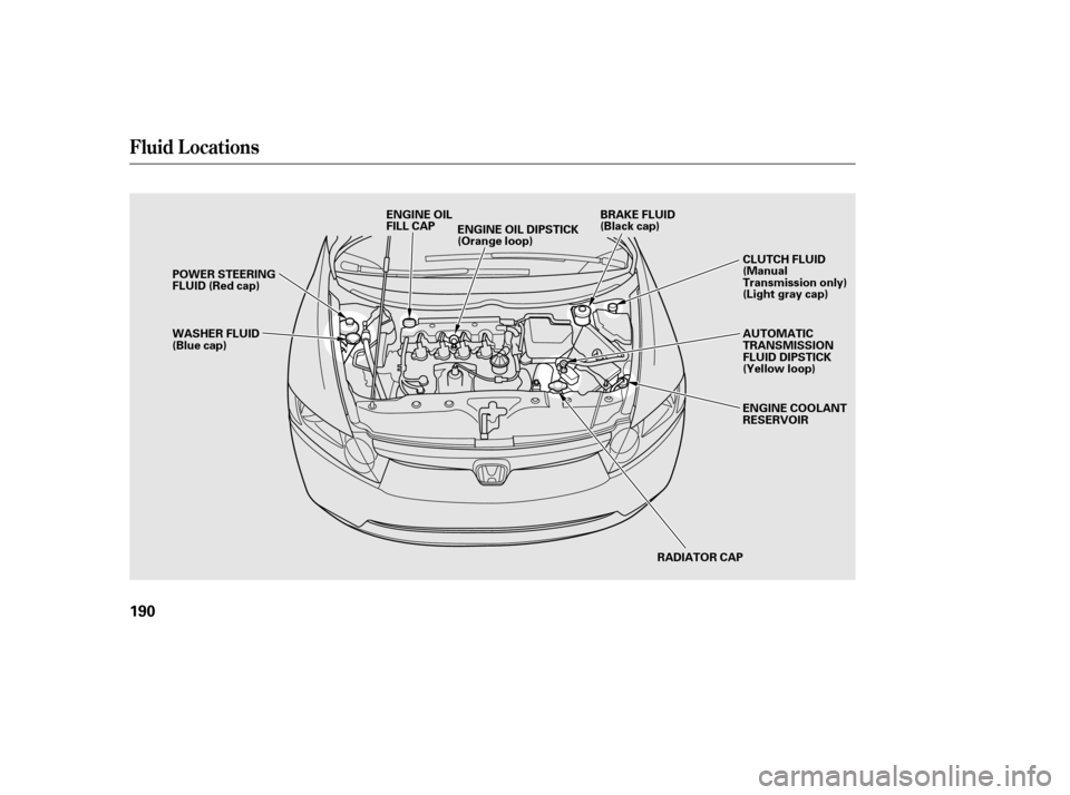 HONDA CIVIC 2006 8.G Owners Manual Fluid Locations
190
RADIATOR CAP
ENGINE OIL DIPSTICK 
(Orange loop)
ENGINE OIL
FILL CAP
WASHER FLUID
(Blue cap)
POWER STEERING
FLUID (Red cap)
AUTOMATIC
TRANSMISSION
FLUID DIPSTICK
(Yellow loop) 
ENGI