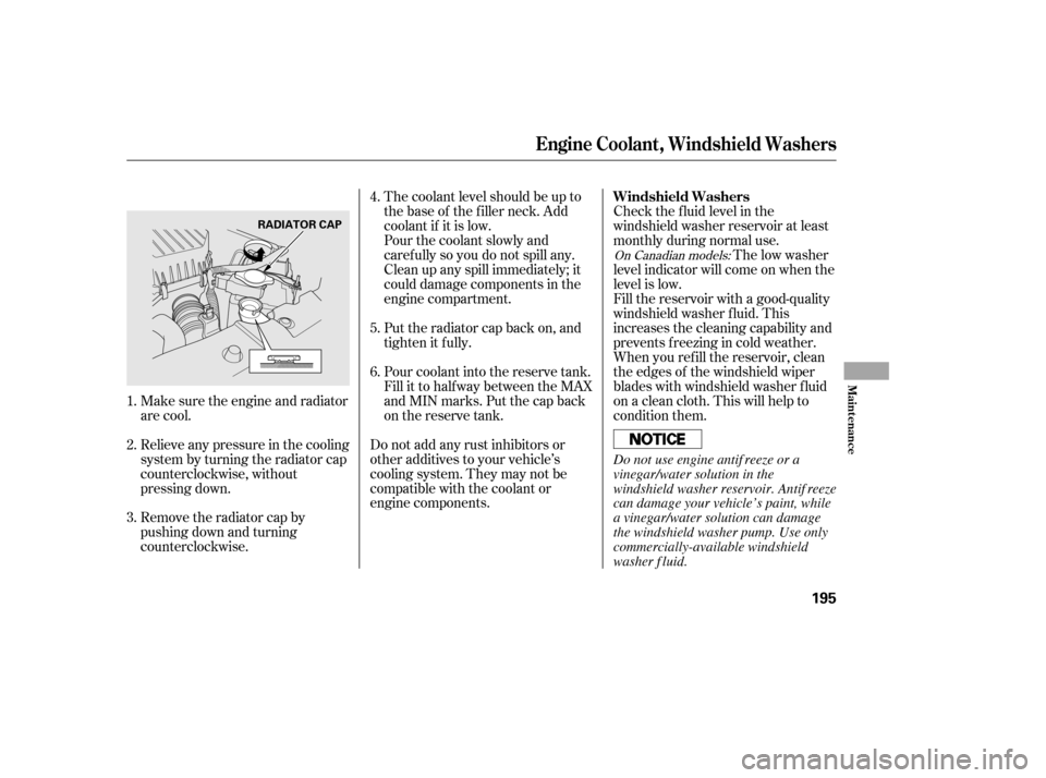 HONDA CIVIC 2006 8.G Owners Manual The coolant level should be up to 
the base of the f iller neck. Add
coolant if it is low.
Pourthecoolantslowlyand
caref ully so you do not spill any.
Clean up any spill immediately; it
could damage c