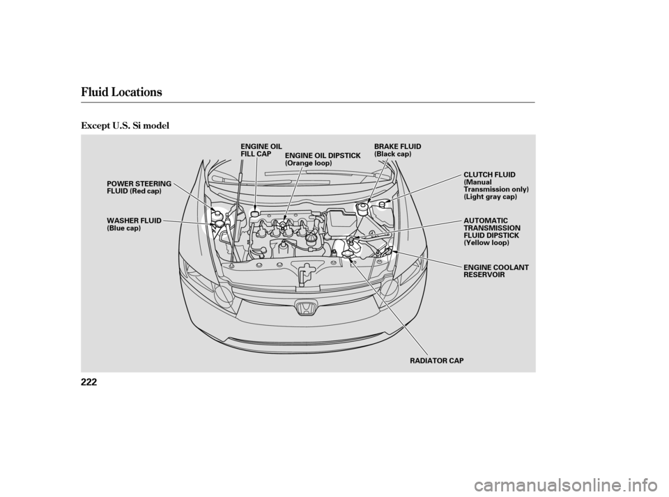 HONDA CIVIC 2007 8.G Owners Manual Fluid Locations
Except U.S. Si model
222
RADIATOR CAP
ENGINE OIL DIPSTICK 
(Orange loop)
ENGINE OIL
FILL CAP
WASHER FLUID
(Blue cap)
POWER STEERING
FLUID (Red cap)
AUTOMATIC
TRANSMISSION
FLUID DIPSTIC