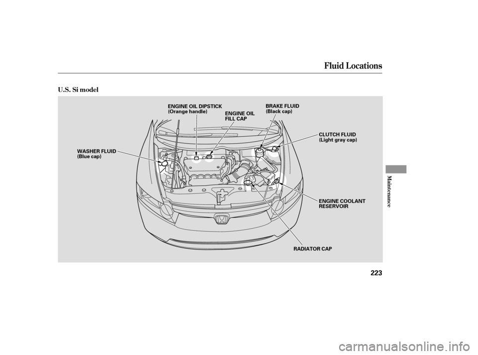 HONDA CIVIC 2007 8.G Owners Manual Fluid Locations
Maint enance
U.S. Si model
223
RADIATOR CAP
ENGINE OIL 
FILL CAP
WASHER FLUID
(Blue cap)
ENGINE COOLANT
RESERVOIR
BRAKE FLUID
(Black cap)
ENGINE OIL DIPSTICK
(Orange handle)
CLUTCH FLU