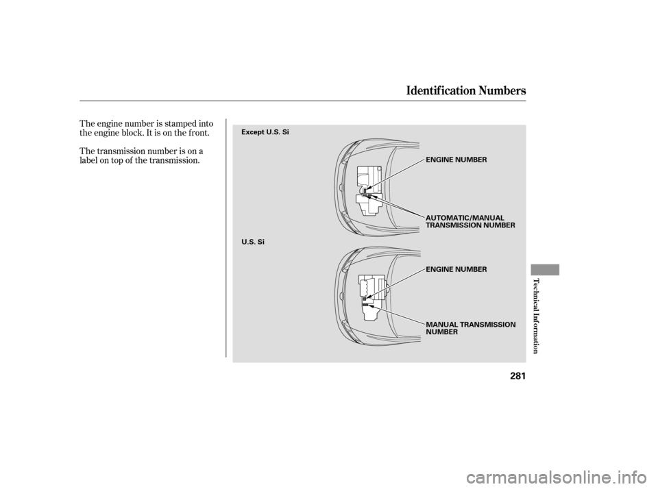 HONDA CIVIC 2007 8.G Owners Manual The engine number is stamped into 
the engine block. It is on the f ront. 
The transmission number is on a 
label on top of the transmission.
Identif ication Numbers
T echnical Inf ormation
281
MANUAL