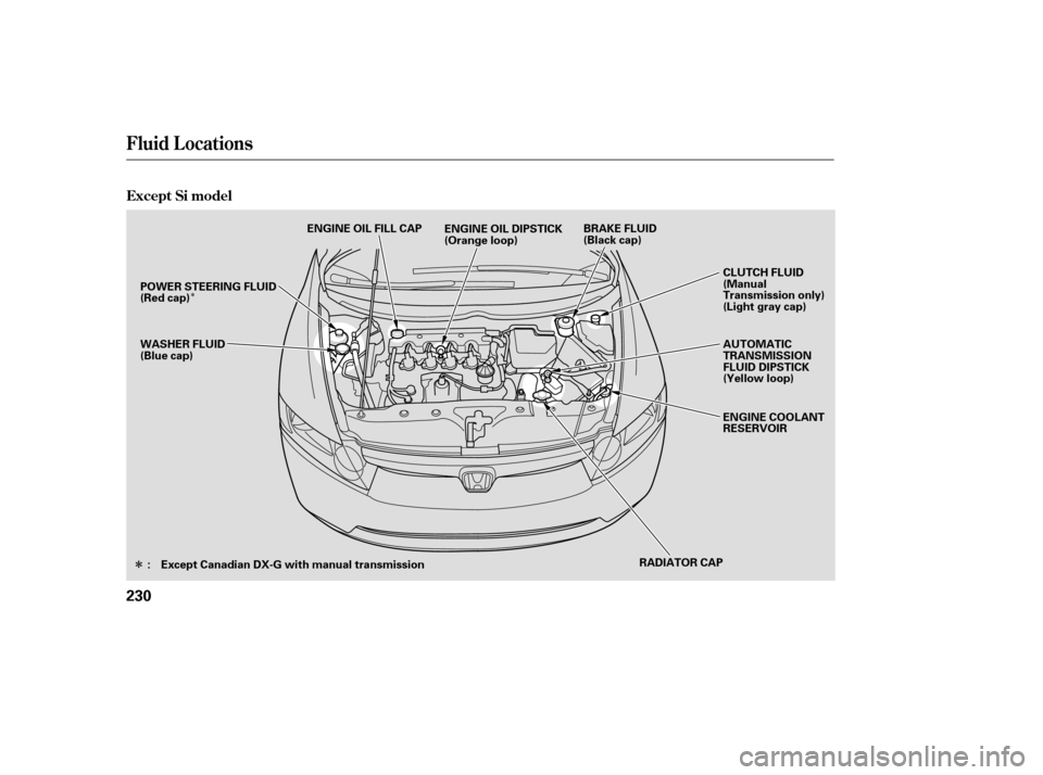 HONDA CIVIC 2008 8.G Owners Manual Î
Î
Fluid Locations
Except Si model
230
RADIATOR CAP AUTOMATIC 
TRANSMISSION
FLUID DIPSTICK
(Yellow loop) 
ENGINE COOLANT 
RESERVOIR
CLUTCH FLUID
(Manual
Transmission only)
(Light gray cap)
WASHER