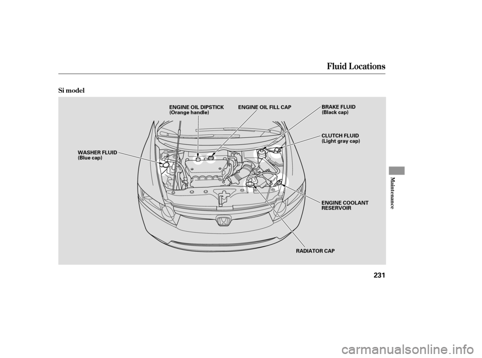 HONDA CIVIC 2008 8.G Owners Manual Fluid Locations
Maint enance
Si model
231
RADIATOR CAP
WASHER FLUID 
(Blue cap)
ENGINE COOLANT
RESERVOIR
CLUTCH FLUID
(Light gray cap)
ENGINE OIL DIPSTICK
(Orange handle)
BRAKE FLUID
(Black cap)
ENGIN