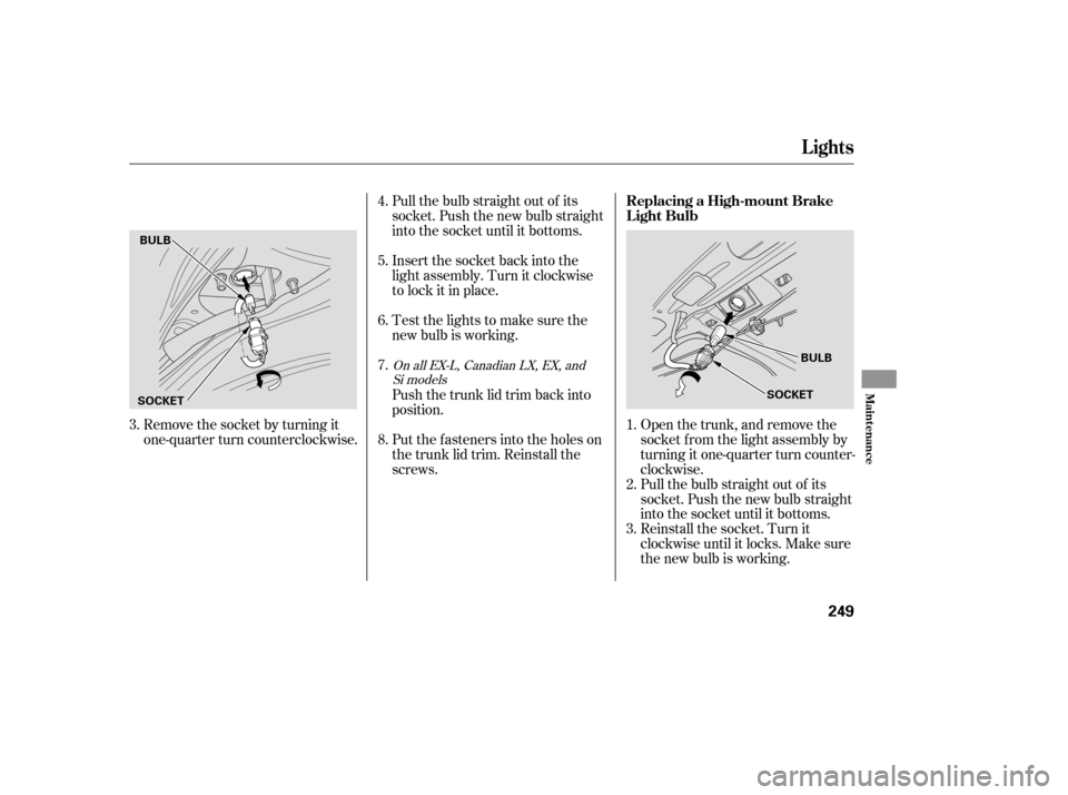 HONDA CIVIC 2008 8.G Owners Manual Remove the socket by turning it
one-quarter turn counterclockwise.Open the trunk, and remove the
socket f rom the light assembly by
turning it one-quarter turn counter-
clockwise.
Pull the bulb strai HONDA CIVIC 2008 8.G Owners Manual Remove the socket by turning it
one-quarter turn counterclockwise.Open the trunk, and remove the
socket f rom the light assembly by
turning it one-quarter turn counter-
clockwise.
Pull the bulb strai