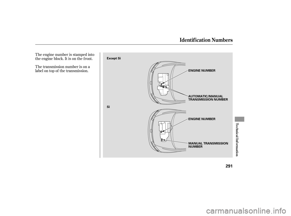 HONDA CIVIC 2008 8.G Owners Manual The engine number is stamped into 
the engine block. It is on the f ront. 
The transmission number is on a 
label on top of the transmission.
Identif ication Numbers
T echnical Inf ormation
291
MANUAL