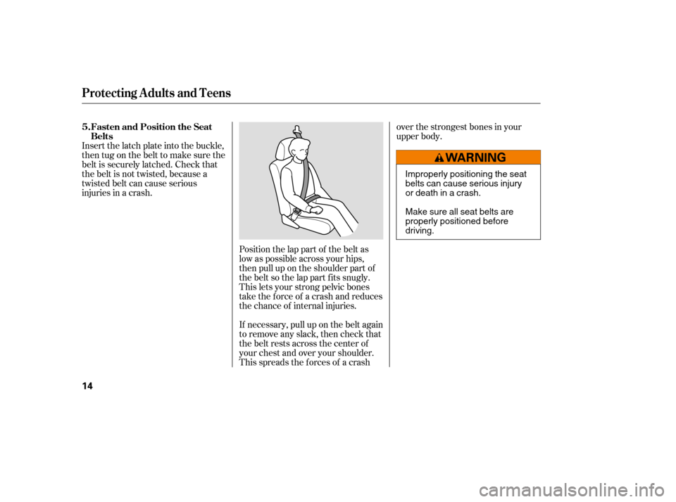 HONDA CIVIC 2008 8.G Manual PDF Position the lap part of the belt as 
low as possible across your hips,
then pull up on the shoulder part of
the belt so the lap part f its snugly.
This lets your strong pelvic bones
take the force of