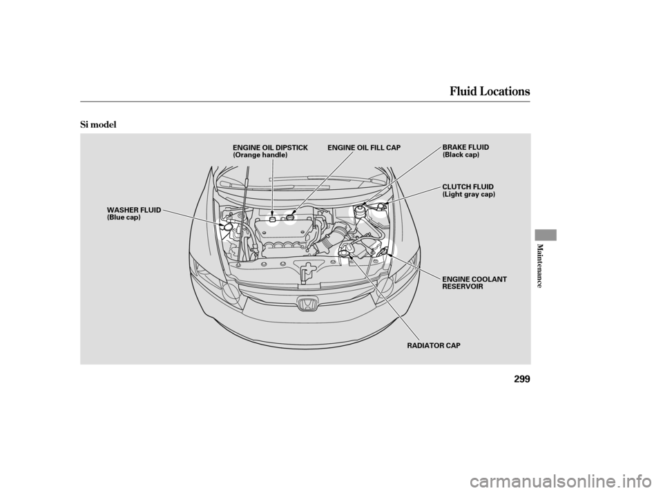 HONDA CIVIC 2009 8.G User Guide Fluid Locations
Maint enance
Si model
299
RADIATOR CAP
WASHER FLUID 
(Blue cap)
ENGINE COOLANT
RESERVOIR
CLUTCH FLUID
(Light gray cap)
ENGINE OIL DIPSTICK
(Orange handle)
BRAKE FLUID
(Black cap)
ENGIN