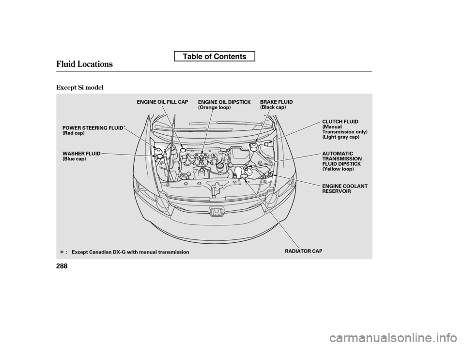 HONDA CIVIC 2010 8.G Owners Manual ÎÎ
Fluid Locations
Except Si model
288
RADIATOR CAP
AUTOMATIC 
TRANSMISSION
FLUID DIPSTICK
(Yellow loop) 
ENGINE COOLANT 
RESERVOIR
CLUTCH FLUID
(Manual
Transmission only)
(Light gray cap)
WASHER 