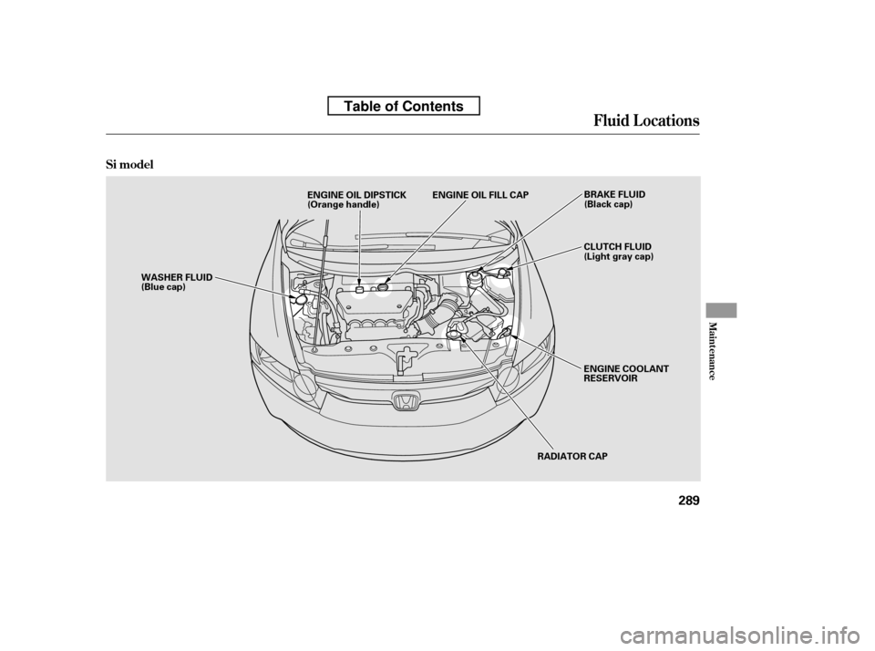 HONDA CIVIC 2010 8.G Owners Manual Fluid Locations
Maint enance
Si model
289
RADIATOR CAP
WASHER FLUID 
(Blue cap)
ENGINE COOLANT
RESERVOIR
CLUTCH FLUID
(Light gray cap)
ENGINE OIL DIPSTICK
(Orange handle)
BRAKE FLUID
(Black cap)
ENGIN