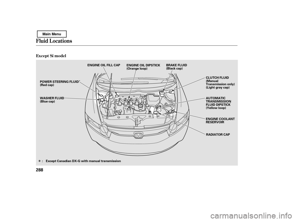 HONDA CIVIC 2011 8.G Owners Manual ÎÎ
Fluid Locations
Except Si model
288
RADIATOR CAP
AUTOMATIC 
TRANSMISSION
FLUID DIPSTICK
(Yellow loop) 
ENGINE COOLANT 
RESERVOIR
CLUTCH FLUID
(Manual
Transmission only)
(Light gray cap)
WASHER 