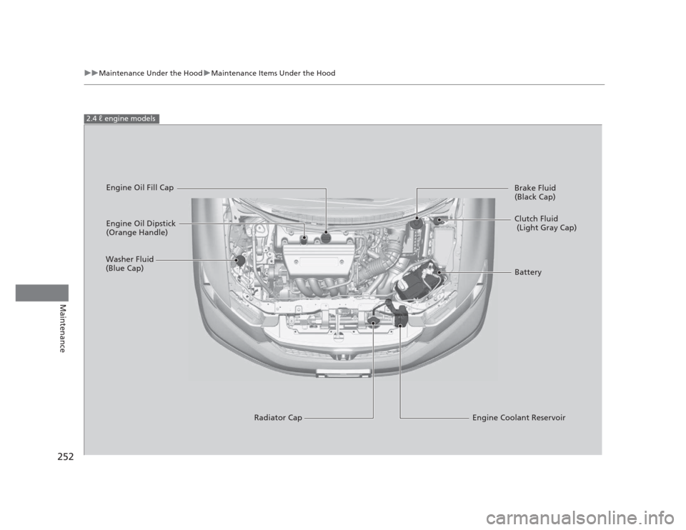 HONDA CIVIC 2012 9.G Owners Manual 252
uuMaintenance Under the HooduMaintenance Items Under the Hood
Maintenance
2.4  engine models
Engine Oil Dipstick  
(Orange Handle)
Washer Fluid 
(Blue Cap)
Engine Coolant Reservoir
Radiator Cap B