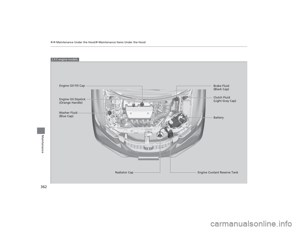 HONDA CIVIC 2014 9.G Owners Manual 362
uuMaintenance Under the Hood uMaintenance Items Under the Hood
Maintenance
2.4 ℓ engine models
Engine Oil Dipstick 
(Orange Handle)
Washer Fluid 
(Blue Cap)
Engine Coolant Reserve Tank
Radiator 