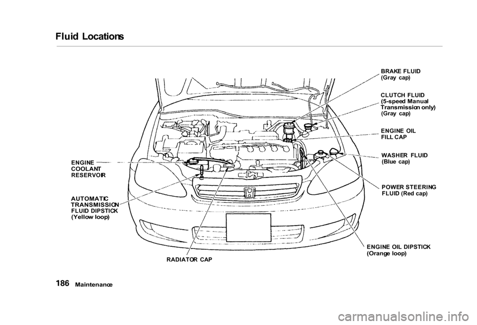 HONDA CIVIC COUPE 2000 7.G Owners Manual 
Flui
d  Location s
ENGIN E

COOLAN T

RESERVOI R

AUTOMATI C
TRANSMISSIO N

FLUI D  DIPSTIC K

(Yello w loop )

RADIATOR  CA P BRAK
E FLUI D
(Gra y  cap )
CLUTC H  FLUI D

(5-spee d Manua l

Transmis