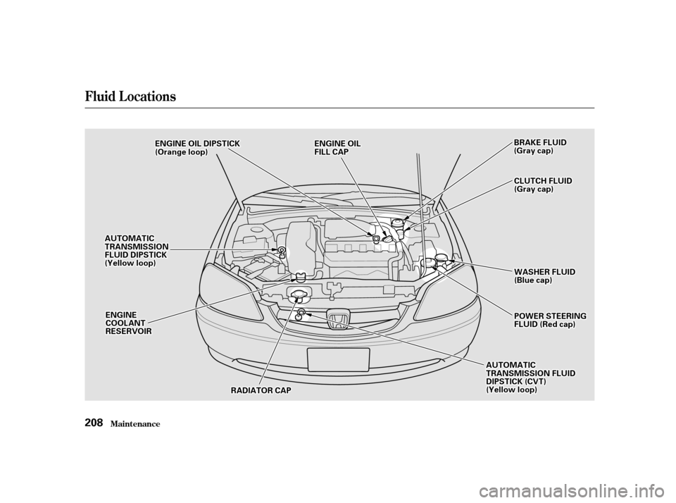 HONDA CIVIC COUPE 2001 7.G Owners Manual Fluid Locations
Maint enance208
C
CLLUUT TC
CH H F
FLLUUI IDD
(
( G
Gr raay y c
caap p )
)
A
A U
UT TO
OM M A
AT
TI
ICC
T
T R
RA A N
NS SMM I
ISSS SIIOON N
F
FL LUUI IDD D
DI
IPP S
ST TI
ICCK K
(
( Y
