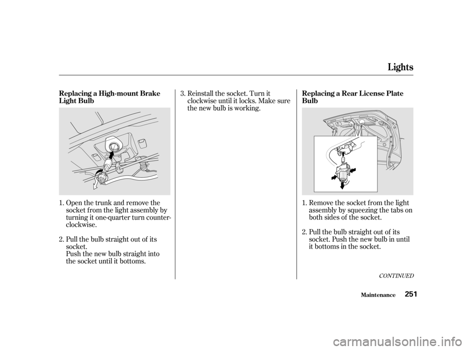 HONDA CIVIC COUPE 2001 7.G Owners Manual Remove the socket f rom the light
assembly by squeezing the tabs on
both sides of the socket.
Pull the bulb straight out of its
socket. Push the new bulb in until
it bottoms in the socket.
Reinstall t