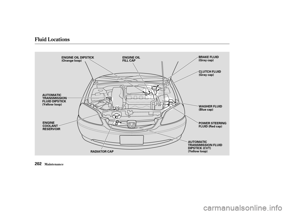 HONDA CIVIC COUPE 2003 7.G Owners Manual Fluid Locations
Maint enance202
ENGINE OIL 
FILL CAPBRAKE FLUID
(Gray cap)
CLUTCH FLUID
(Gray cap)
WASHER FLUID
(Blue cap) 
POWER STEERING 
FLUID (Red cap)
AUTOMATIC
TRANSMISSION FLUID
DIPSTICK (CVT)
