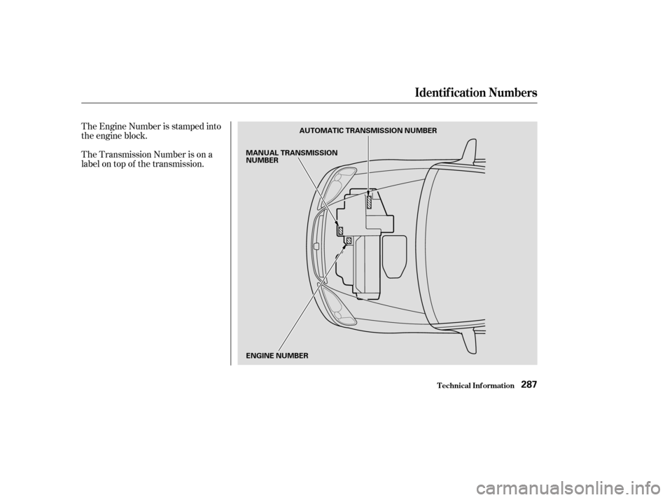 HONDA CIVIC COUPE 2003 7.G Owners Manual The Engine Number is stamped into 
the engine block. 
The Transmission Number is on a 
label on top of the transmission.
Identif ication Numbers
T echnical Inf ormation287
AUTOMATIC TRANSMISSION NUMBE
