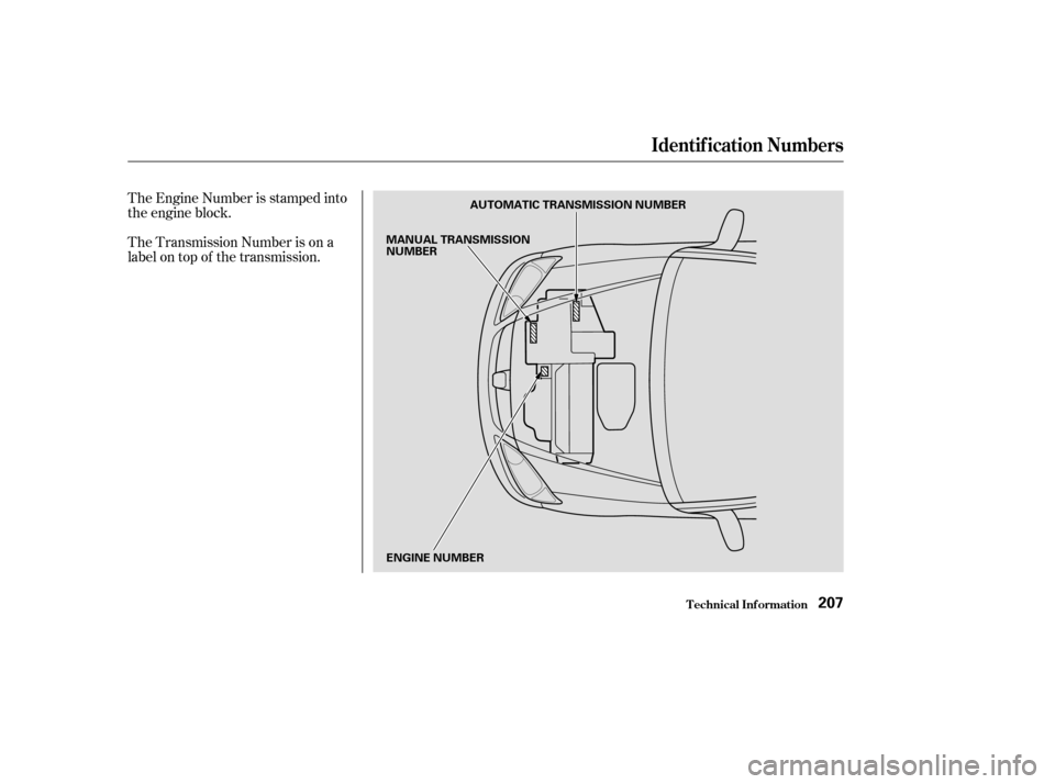 HONDA CIVIC COUPE 2004 7.G Owners Manual The Engine Number is stamped into 
the engine block. 
The Transmission Number is on a 
label on top of the transmission.
Identif ication Numbers
T echnical Inf ormation207
AUTOMATIC TRANSMISSION NUMBE