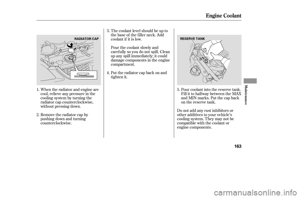 HONDA CIVIC COUPE 2005 7.G Owners Manual When the radiator and engine are 
cool, relieve any pressure in the
cooling system by turning the
radiator cap counterclockwise,
without pressing down.The coolant level should be up to
the base of the