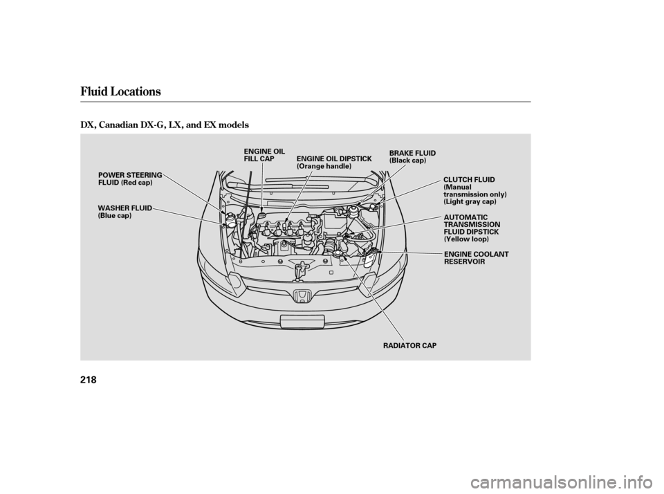 HONDA CIVIC COUPE 2006 8.G Owners Manual Fluid Locations
DX, Canadian DX-G, L X, and EX models
218
WASHER FLUID
(Blue cap)POWER STEERING
FLUID (Red cap)
RADIATOR CAP
ENGINE OIL
FILL CAP
ENGINE OIL DIPSTICK
(Orange handle) BRAKE FLUID
(Black 