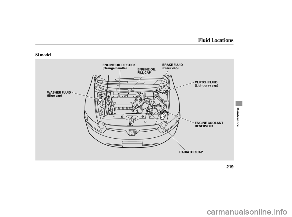 HONDA CIVIC COUPE 2006 8.G Owners Manual Fluid Locations
Si model
Maint enance
219
RADIATOR CAP
ENGINE OIL
FILL CAP
WASHER FLUID
(Blue cap)
ENGINE COOLANT
RESERVOIR
BRAKE FLUID
(Black cap)
ENGINE OIL DIPSTICK
(Orange handle)
CLUTCH FLUID
(Li