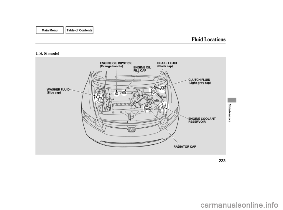 HONDA CIVIC COUPE 2007 8.G Owners Manual Fluid Locations
Maint enance
U.S. Si model
223
RADIATOR CAP
ENGINE OIL
FILL CAP
WASHER FLUID
(Blue cap)
ENGINE COOLANT
RESERVOIR
BRAKE FLUID
(Black cap)
ENGINE OIL DIPSTICK
(Orange handle)
CLUTCH FLUI