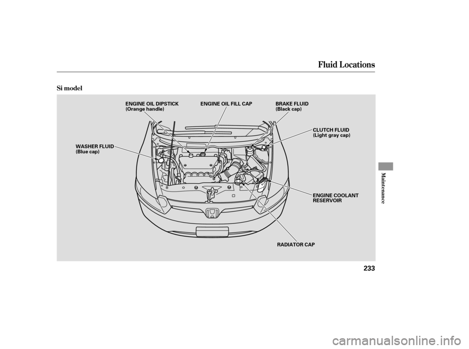 HONDA CIVIC COUPE 2008 8.G Owners Manual Fluid Locations
Si model
Maint enance
233
ENGINE COOLANT 
RESERVOIR
CLUTCH FLUID
(Light gray cap)
WASHER FLUID
(Blue cap)
RADIATOR CAP
ENGINE OIL DIPSTICK
(Orange handle)
ENGINE OIL FILL CAP BRAKE FLU