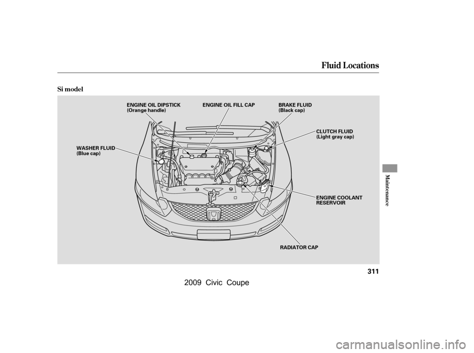 HONDA CIVIC COUPE 2009 8.G Owners Manual Fluid Locations
Si model
Maint enance
311
ENGINE COOLANT 
RESERVOIR 
CLUTCH FLUID 
(Light gray cap)
WASHER FLUID
(Blue cap)
RADIATOR CAP
ENGINE OIL DIPSTICK
(Orange handle)
ENGINE OIL FILL CAP BRAKE F