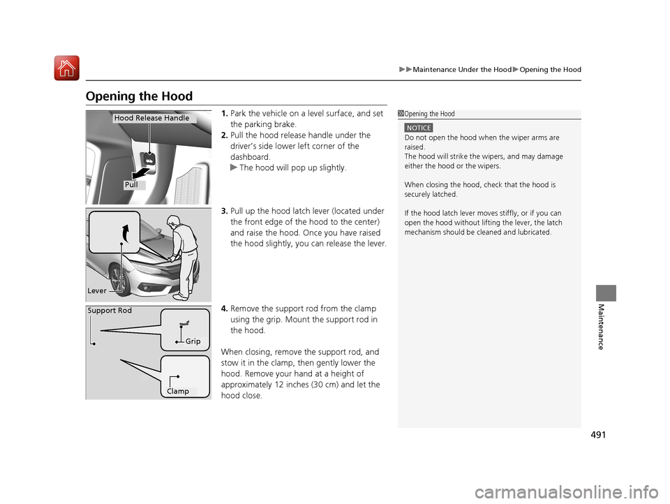 HONDA CIVIC COUPE 2017 10.G Owners Manual 491
uuMaintenance Under the Hood uOpening the Hood
Maintenance
Opening the Hood
1. Park the vehicle on a level surface, and set
the parking brake.
2. Pull the hood release handle under the
driver’ HONDA CIVIC COUPE 2017 10.G Owners Manual 491
uuMaintenance Under the Hood uOpening the Hood
Maintenance
Opening the Hood
1. Park the vehicle on a level surface, and set
the parking brake.
2. Pull the hood release handle under the
driver’