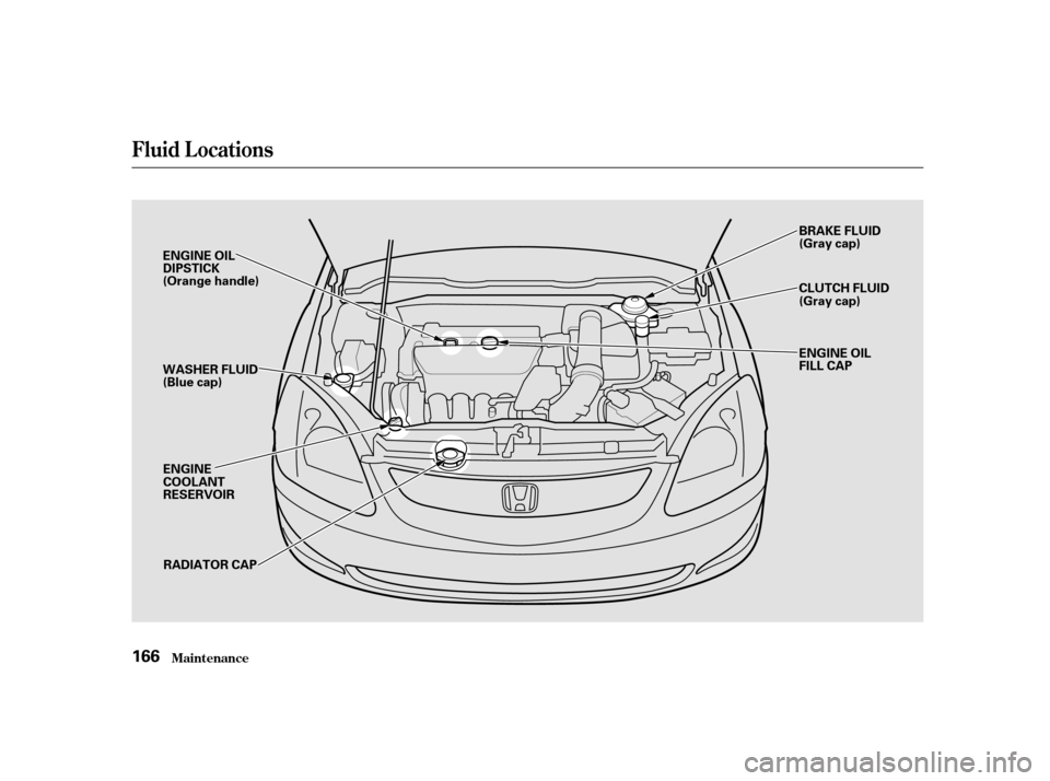 HONDA CIVIC HATCHBACK 2003 7.G Owners Manual Fluid Locations
Maint enance
166 ENGINE OIL 
DIPSTICK
(Orange handle) 
WASHER FLUID 
(Blue cap)
ENGINE
COOLANT
RESERVOIR RADIATOR CAP BRAKE FLUID
(Gray cap) 
CLUTCH FLUID 
(Gray cap) 
ENGINE OIL 
FILL