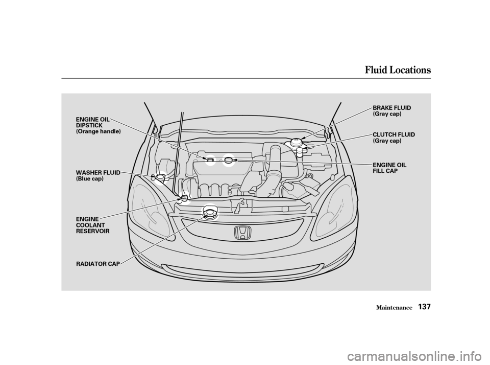 HONDA CIVIC HATCHBACK 2004 7.G Owners Manual Fluid Locations
Maint enance137
ENGINE OIL 
DIPSTICK
(Orange handle) 
WASHER FLUID 
(Blue cap)
ENGINE
COOLANT
RESERVOIR RADIATOR CAP BRAKE FLUID
(Gray cap) 
CLUTCH FLUID 
(Gray cap) 
ENGINE OIL 
FILL 